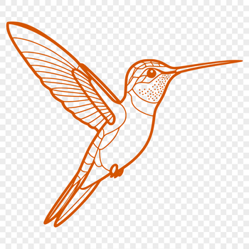 Colorful hummingbird illustration designed as vector art