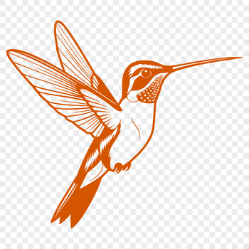 A vibrant illustration of a hummingbird in flight, rendered as a scalable vector graphic.