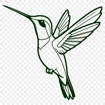 A colorful hummingbird perched on a branch, illustrated in vector art.