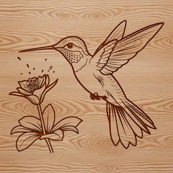A colorful hummingbird perched on a branch surrounded by flowers, with detailed vector design.