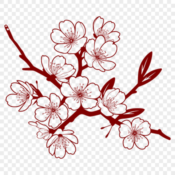 A delicate cherry blossom with pink petals and green stem.