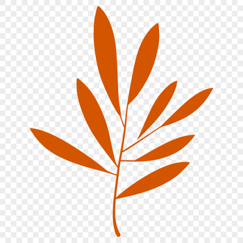 A detailed illustration of a single leaf with intricate lines and veins.