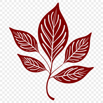 A high-quality vector graphic illustration of a single leaf with intricate details.
