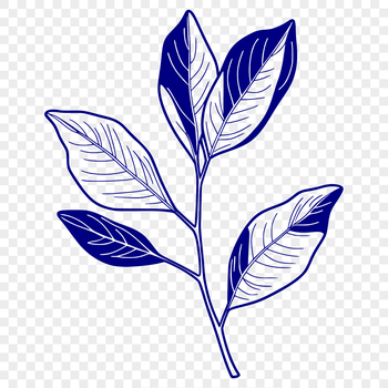 A high-quality digital illustration of a single leaf with detailed veins and texture.