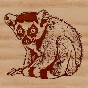 An illustration of a lemur, a small primate native to Madagascar, depicted in vector graphics.