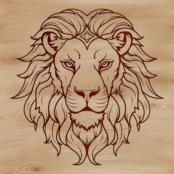A majestic lion's head with a distinctive mane, typical of the big cat species found in savannas.