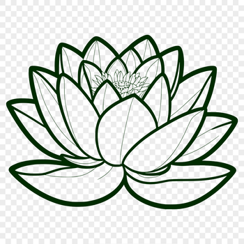 An illustration of a lotus flower in a stylized, symmetrical design.