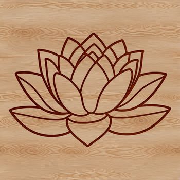An illustration of the lotus flower, a symbol of spiritual growth in many Eastern religions.