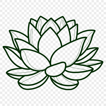 A delicate, stylized illustration of the lotus flower, often associated with Eastern spirituality and cultures.