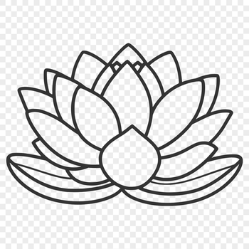 A detailed illustration of the lotus flower, a symbol often associated with Eastern religions.