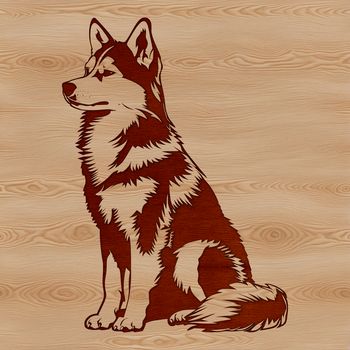 A vector illustration of a sitting Husky dog breed in a simple design style.