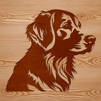 A detailed illustration of a Golden Retriever's head, suitable for vector art and design projects.
