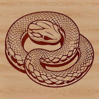 Close-up vector illustration of a serpent's head.