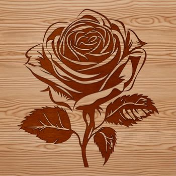 A detailed illustration of a rose in full bloom, suitable for gardening enthusiasts or as a design element.