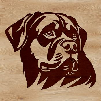 Rottweiler dog breed illustration with accurate head details and vector design features.