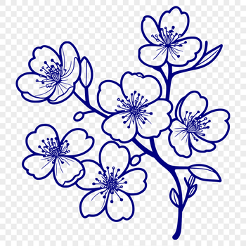 A vector illustration of a single cherry blossom in bloom, with delicate petals and green stem.