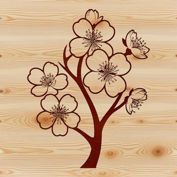 A stylized illustration of a blooming cherry blossom flower with delicate petals.