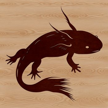 A digital illustration of a Mexican salamander species, the axolotl, with distinctive feathery gills and spotted skin.