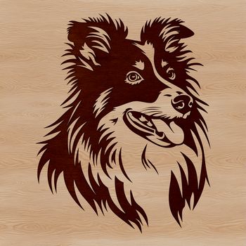 A illustration of the head of a Shetland Sheepdog, created as vector art.
