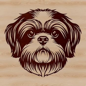 A close-up illustration of a Shih Tzu's head, suitable for vector design.