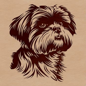 A stylized digital illustration of a Shih Tzu dog's head.