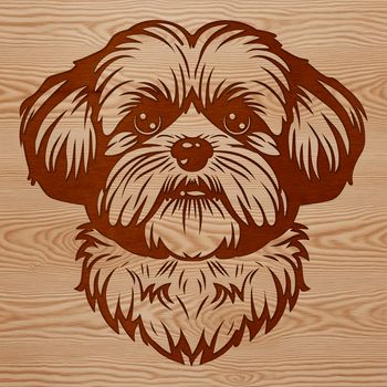 A stylized illustration of a Shih Tzu's head, suitable for digital design and craft projects.