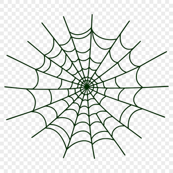 A detailed vector illustration of a spider web in high resolution, suitable for digital design projects.