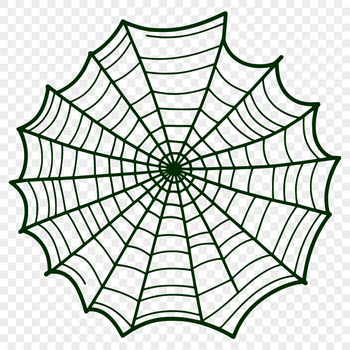 A delicate, intricately detailed illustration of a spider web, designed in scalable vector graphics (SVG) format.