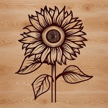 A high-quality illustration of a sunflower in bloom, perfect for gardening enthusiasts and nature lovers.