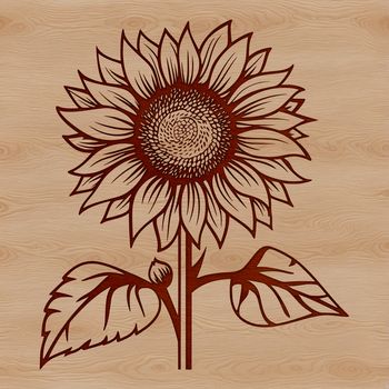 A large, yellow sunflower with a brown center and green stem, ideal for gardening and floral designs.
