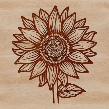 A single sunflower with bright yellow petals and dark center, ideal for gardening and floral designs.