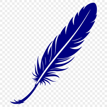 A high-quality digital illustration of a single feather in vector format.