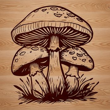 An illustrated mushroom with cap and stem in a simple vector format.