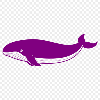 A detailed illustration of a whale, suitable for commercial or personal use, in vector format (SVG).