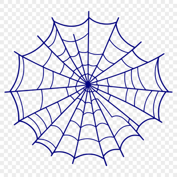 A delicate spider web design made up of intricate lines and shapes.