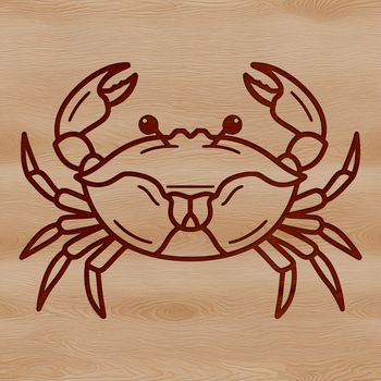 A realistic illustration of a wild crab, suitable for vector art and design projects.