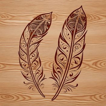 A single feather with delicate details and texture, suitable for vector art projects.