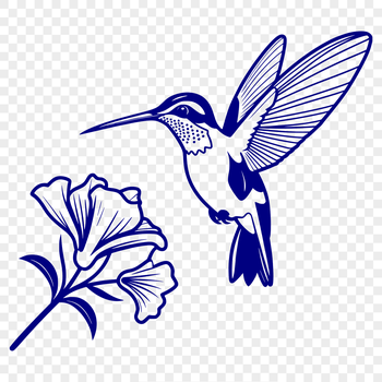 A colorful hummingbird perched on a floral branch, depicted in high-quality vector graphics.