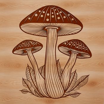 A detailed illustration of a mushroom with a sturdy cap and stem.