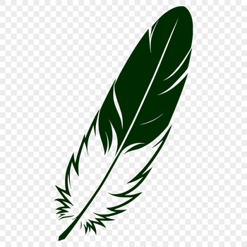 A high-quality vector illustration of a single bird's feather.