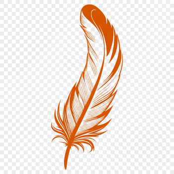 A single white feather isolated on a transparent background, created as an SVG vector graphic.