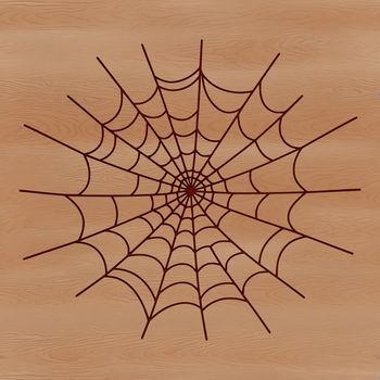 A delicate, intricate spider web design created using vector art.