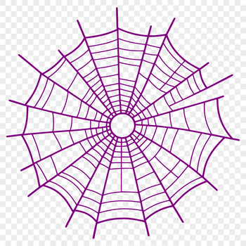 An intricate pattern of interconnected lines forming a spider's web in high-resolution SVG format.