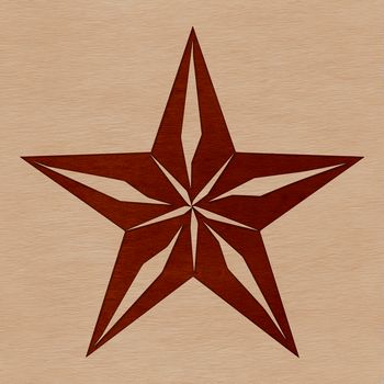 A stylized vector star graphic illustration suitable for various designs.