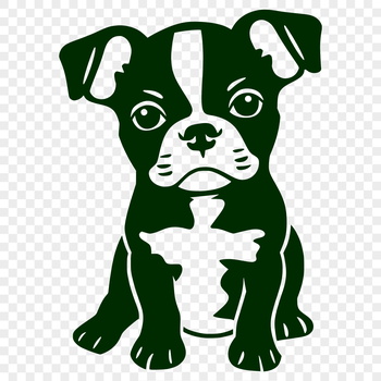 Boston Terrier dog breed illustration in full-body pose.