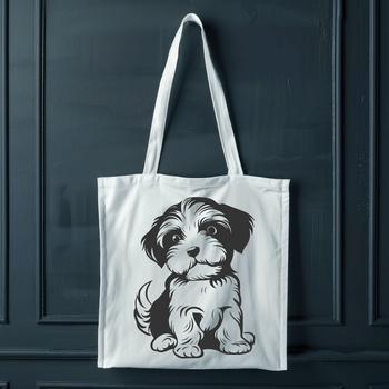 Beautiful Sitting Havanese Image