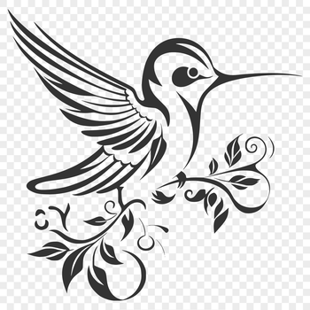 A colorful hummingbird with ornate plumage spreads its wings while in mid-air.