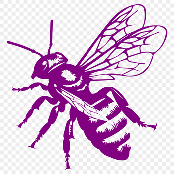 A detailed illustration of a bee in flight, featuring its body and wings.