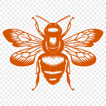 Free Stunning Bee Vector Drawing