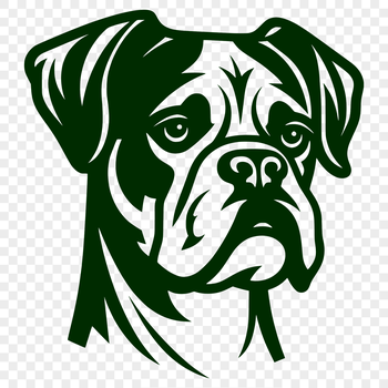 Close-up illustration of a Boxer dog's head and face.